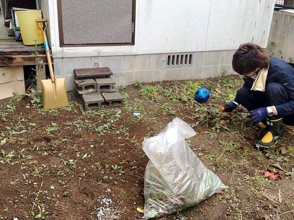 お庭の草むしり作業の様子